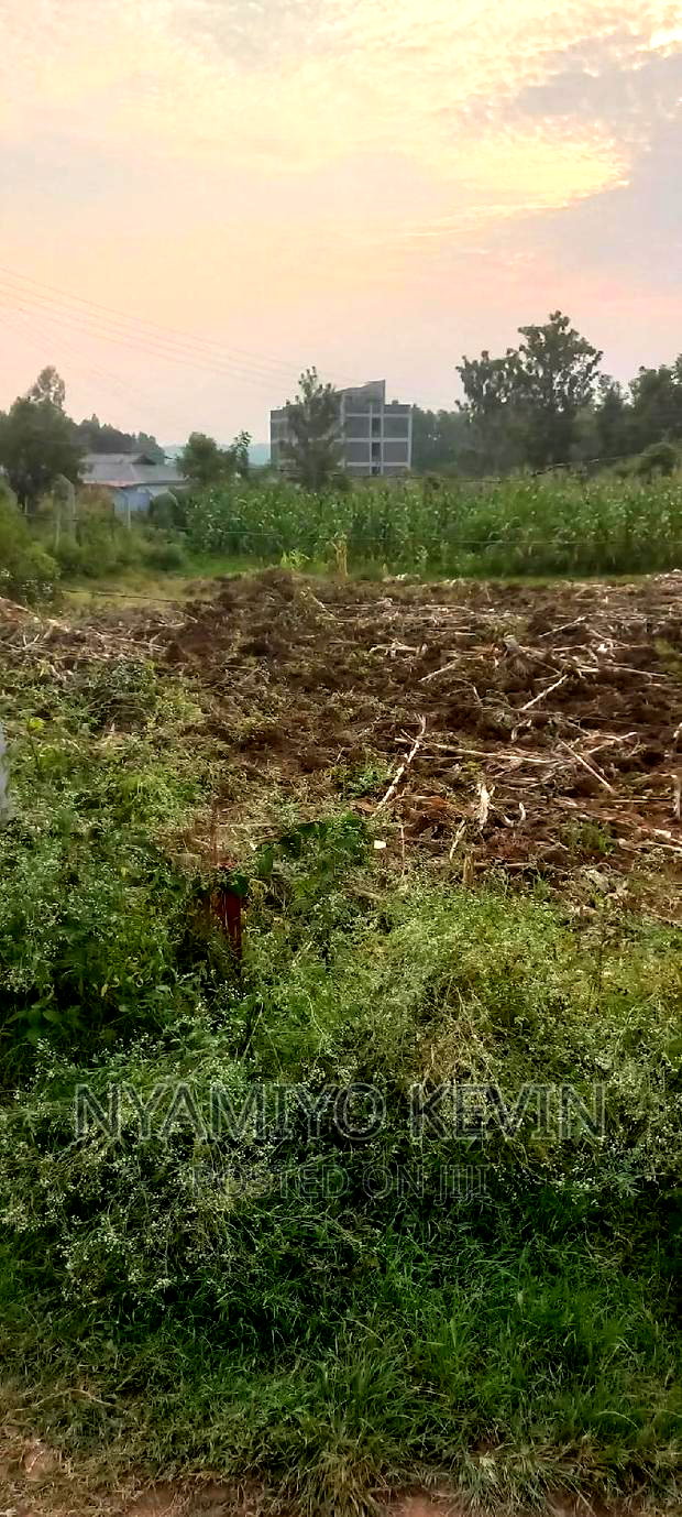 Bondo University Plot for Sale.