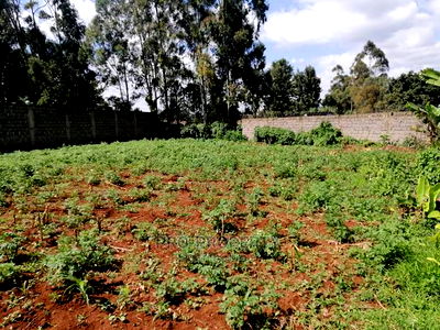 Commercial Plot for Sale in Sigona. - Image 11