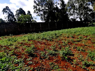 Commercial Plot for Sale in Sigona. - Image 12