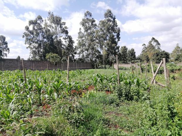 Commercial Plot for Sale in Sigona.