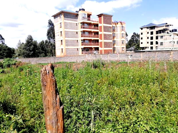 Commercial Plot for Sale in Sigona.