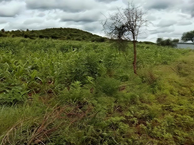 10 Acres Emali Makueni