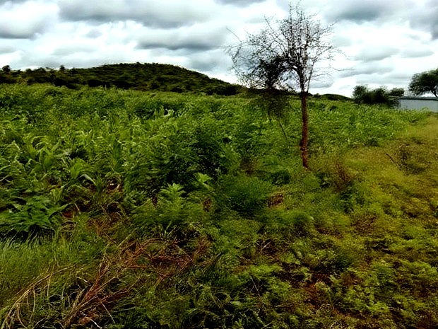 10 Acres Emali Makueni
