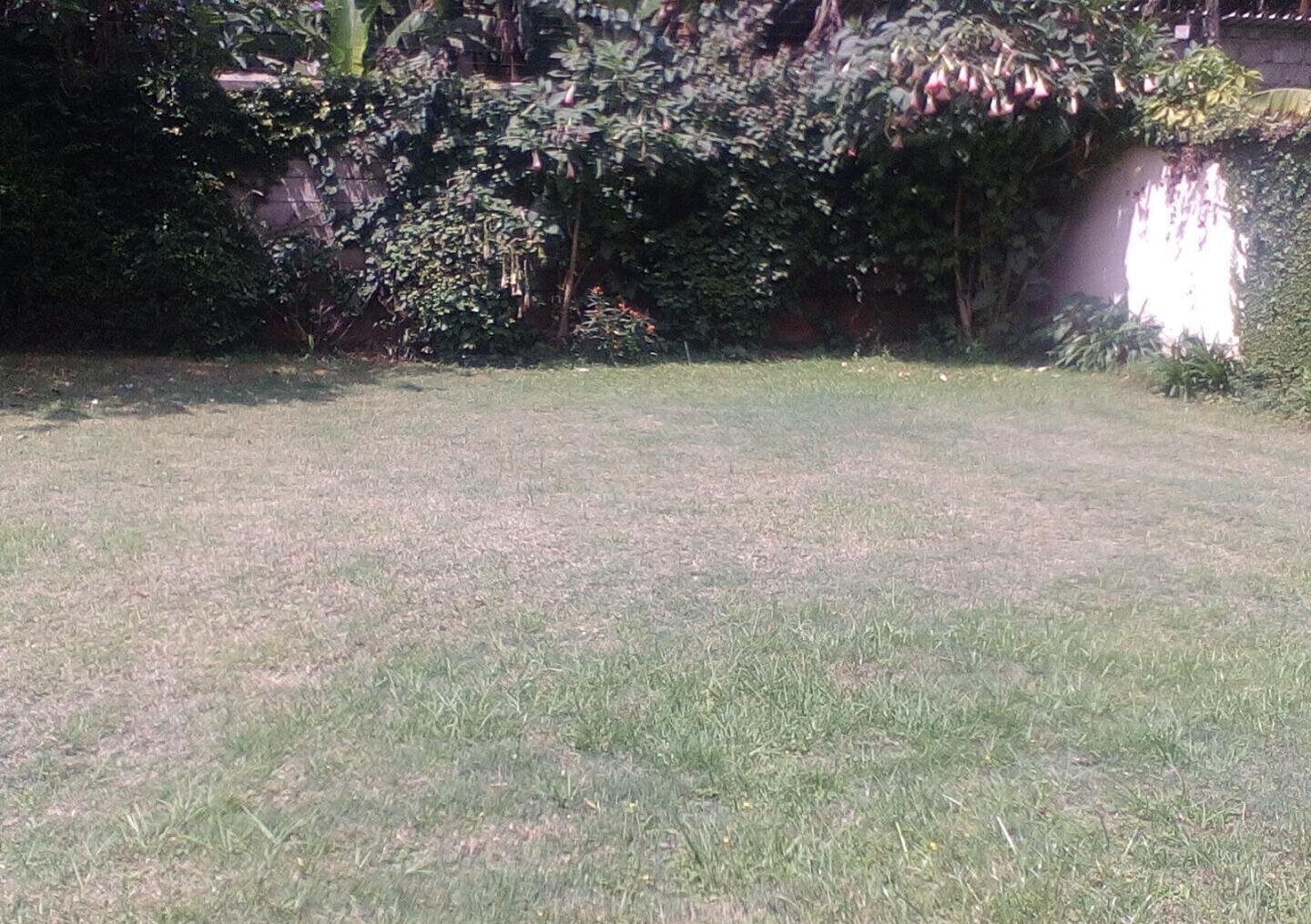 5BR Haven with Garden at KSh 350K