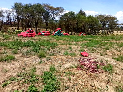 Plot 4 Acres for Sale - Image 2