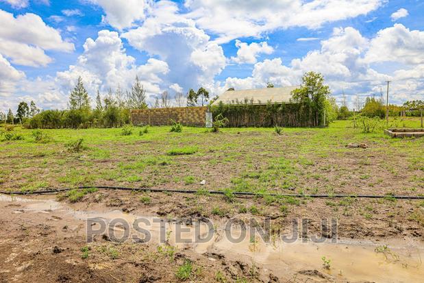 Oasis Gardens. Juja's Hidden Gem