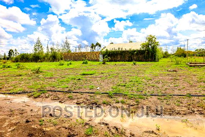 Oasis Gardens. Juja's Hidden Gem - Image 1