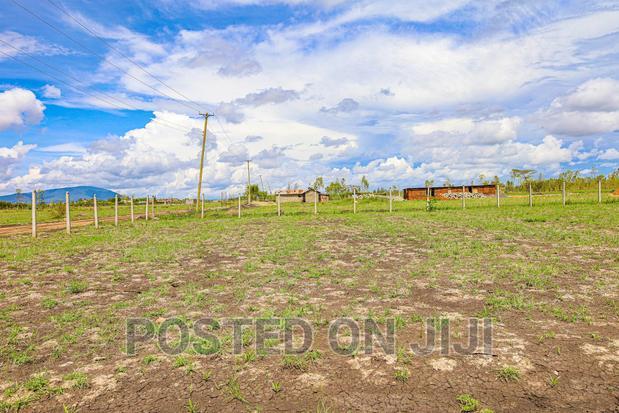 Oasis Gardens. Juja's Hidden Gem