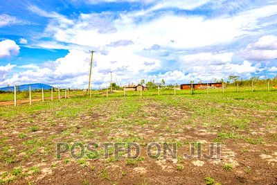 Oasis Gardens. Juja's Hidden Gem - Image 2