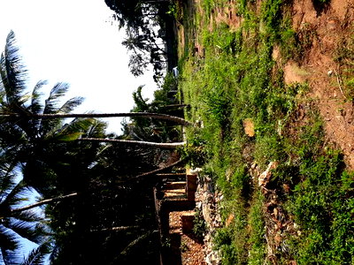 For Sale One Eighth Plots Mtwapa - Image 4