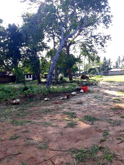 For Sale One Eighth Plots Mtwapa - Image 3