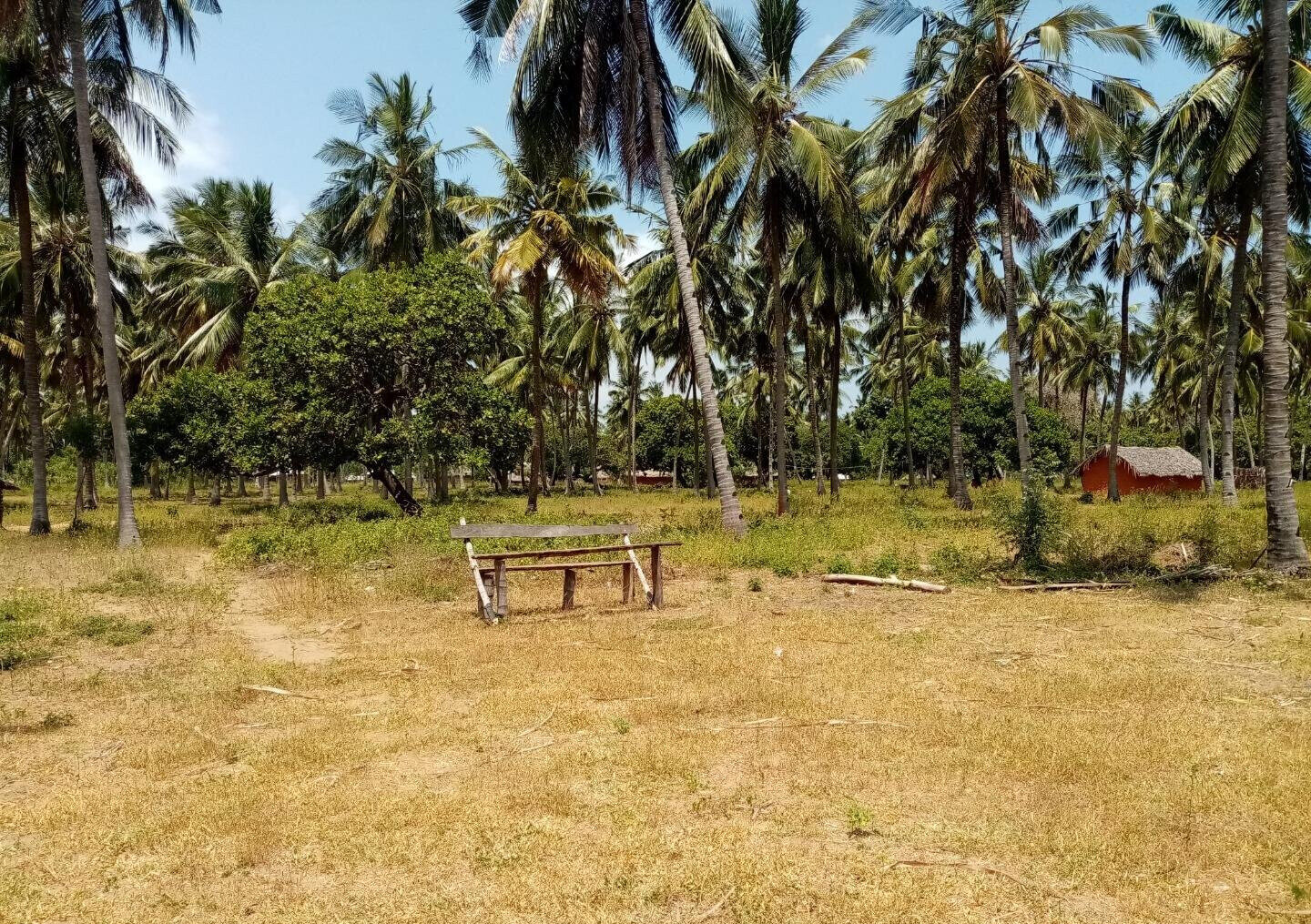 1-Acre Creek Frontage Plot