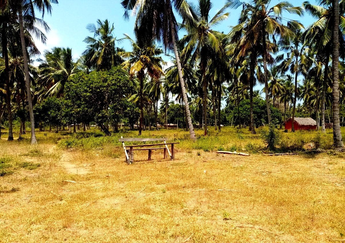 1-Acre Creek Frontage Plot