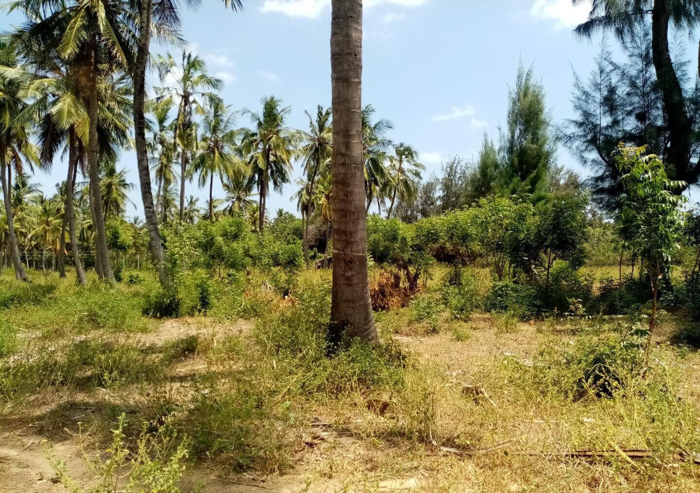 1-Acre Creek Frontage Plot