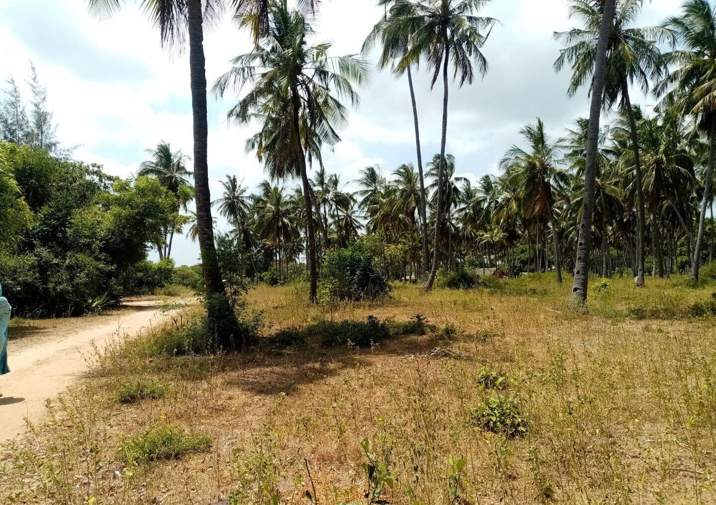 1-Acre Creek Frontage Plot