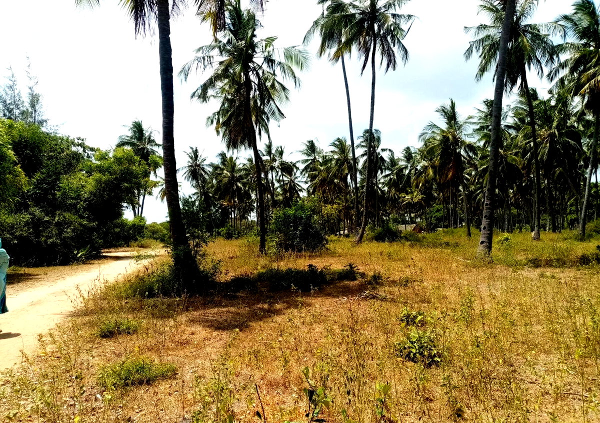 1-Acre Creek Frontage Plot