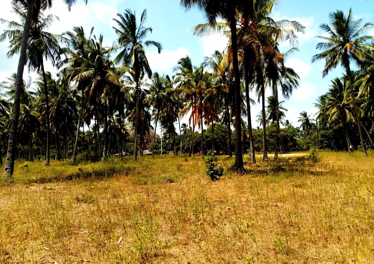 1-Acre Creek Frontage Plot