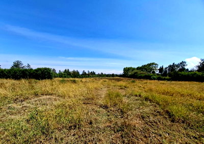 4-Acre Plot in Lower Burguret at KSh 4.5M