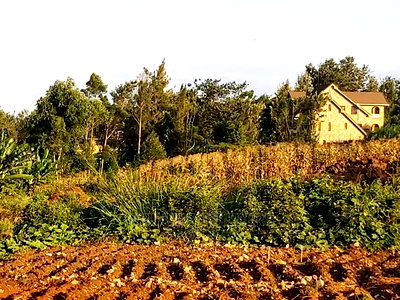 A Prime 1/2 Acre for Sale in Kiuu Kenda - Image 3