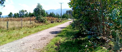 4-Acre Farm with Seasonal River - Nyandarua
