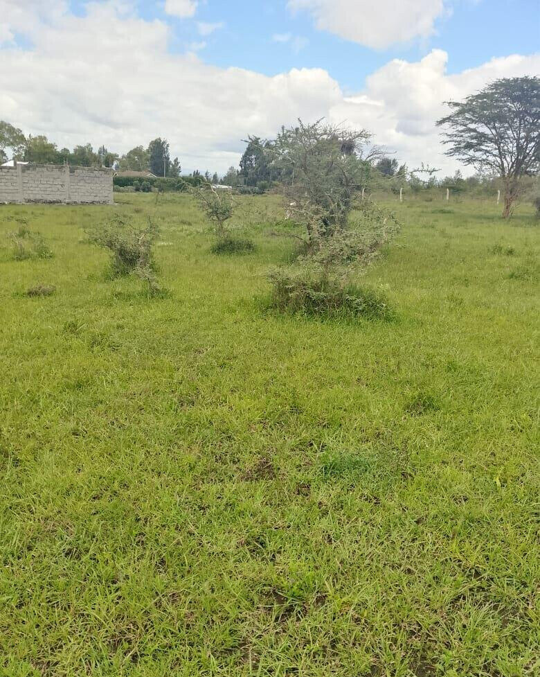 Pet Friendly 1/4 Acre in Oloika