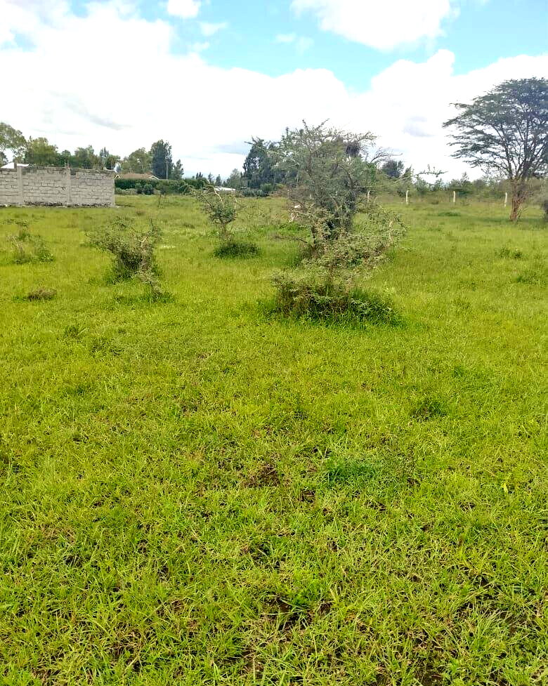 Pet Friendly 1/4 Acre in Oloika