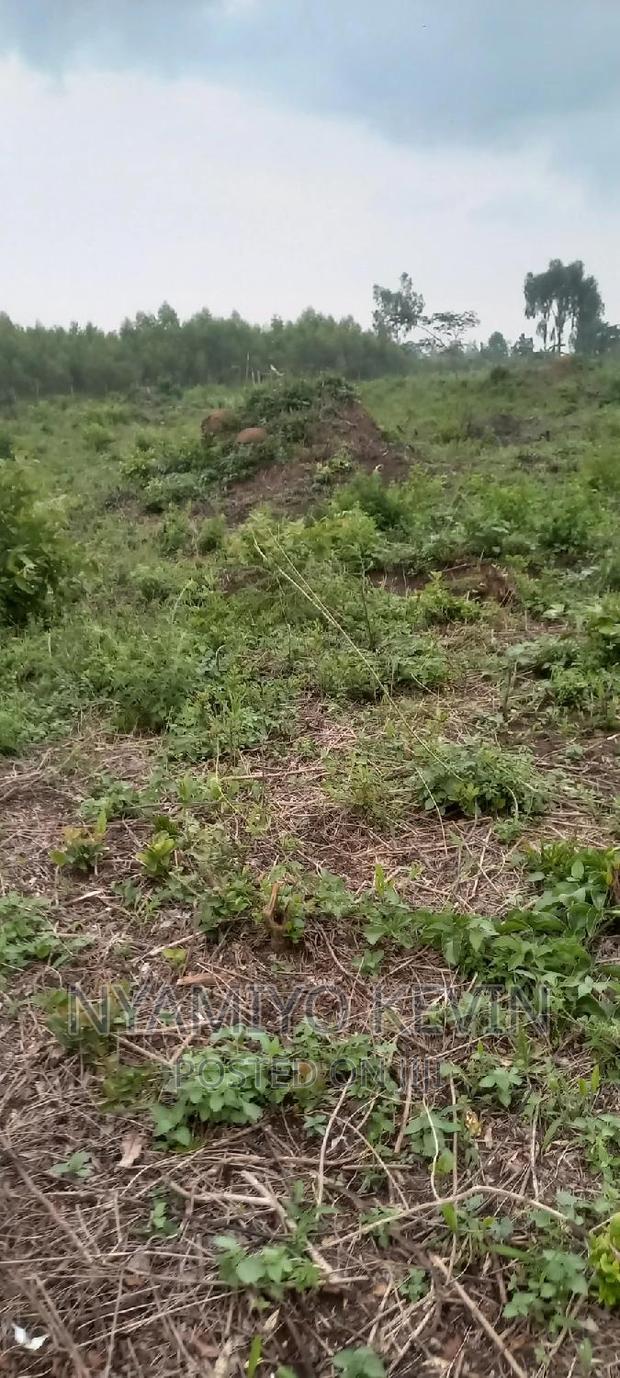 Alego Upanda Land for Farming.