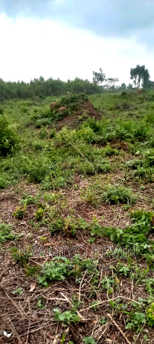 Alego Upanda Land for Farming.