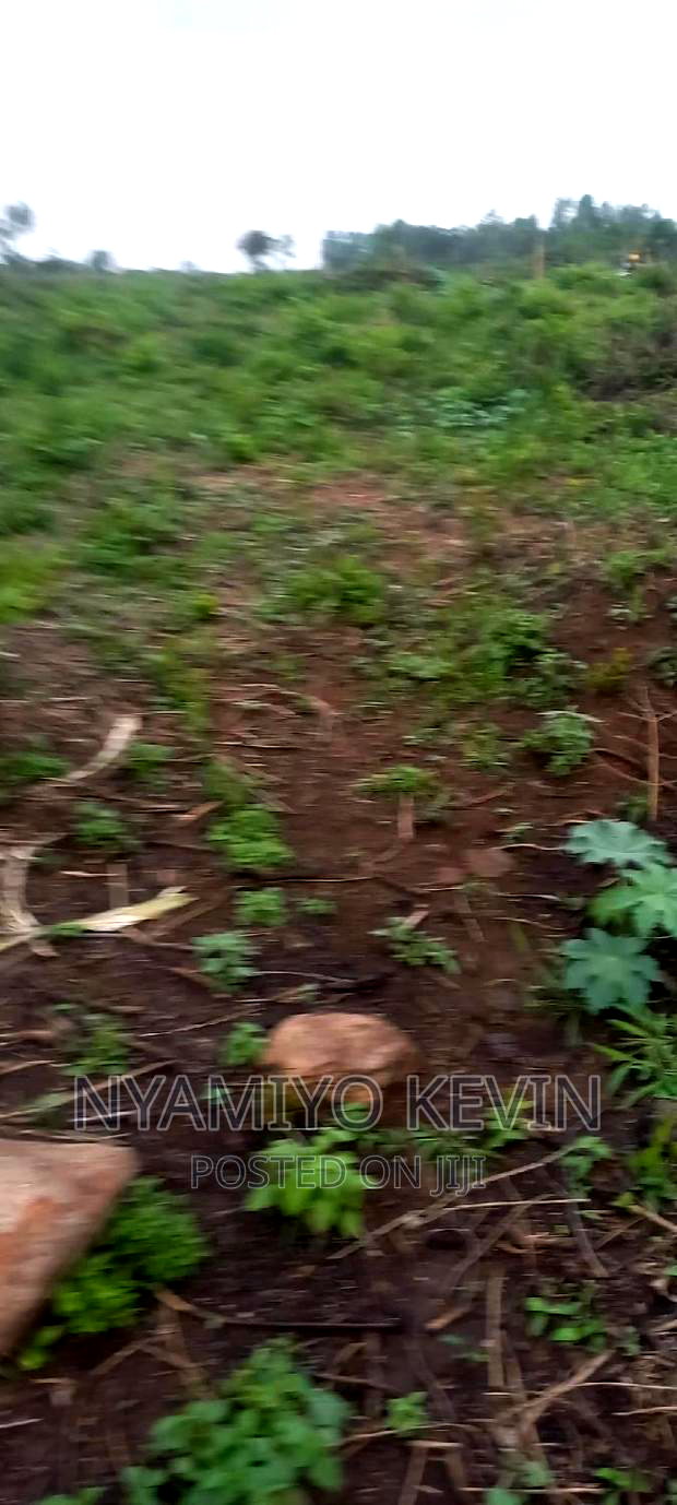 Alego Upanda Land for Farming.