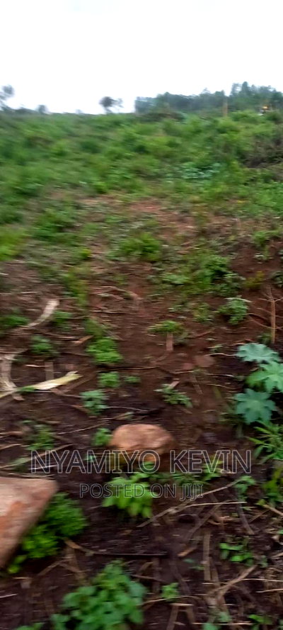 Alego Upanda Land for Farming. - Image 2