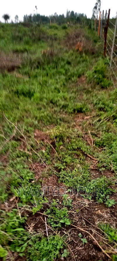 Alego Upanda Land for Farming. - Image 4