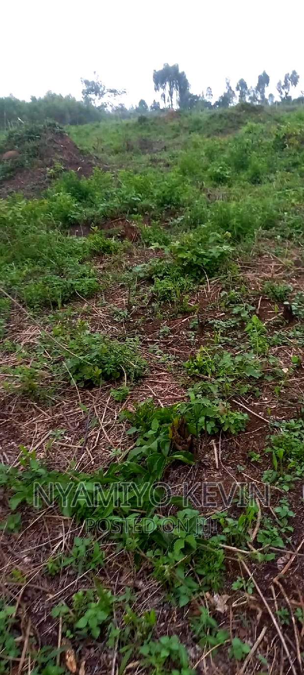 Alego Upanda Land for Farming.