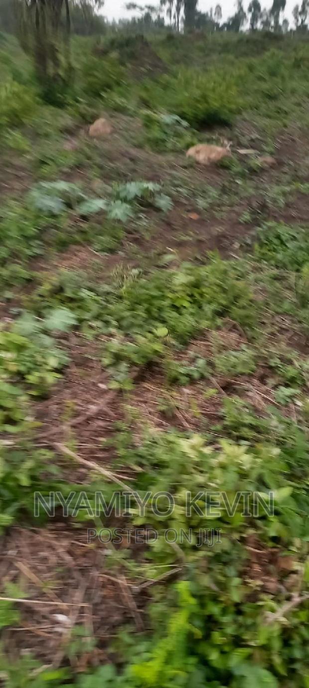 Alego Upanda Land for Farming.