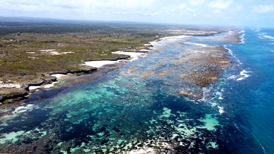 5 Acres Beachfront Plots for Sale in Kilifi Chumani (Roka) - Image 4