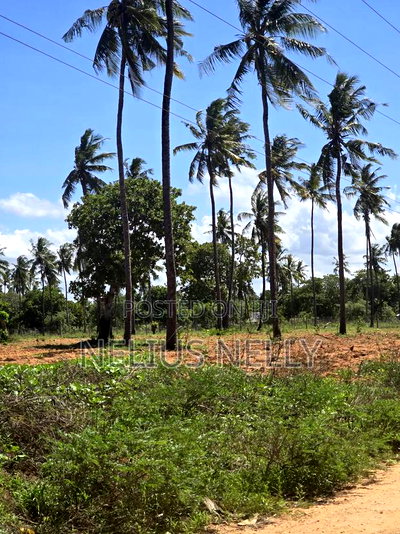 1acre Land for Sale Kilifi Tezo - Image 4