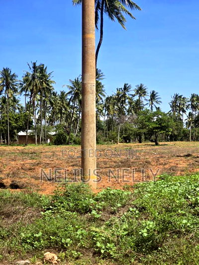 1acre Land for Sale Kilifi Tezo - Image 3