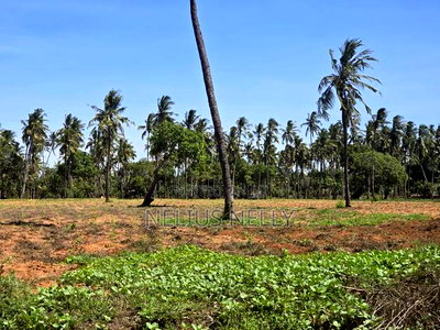 1acre Land for Sale Kilifi Tezo - Image 6