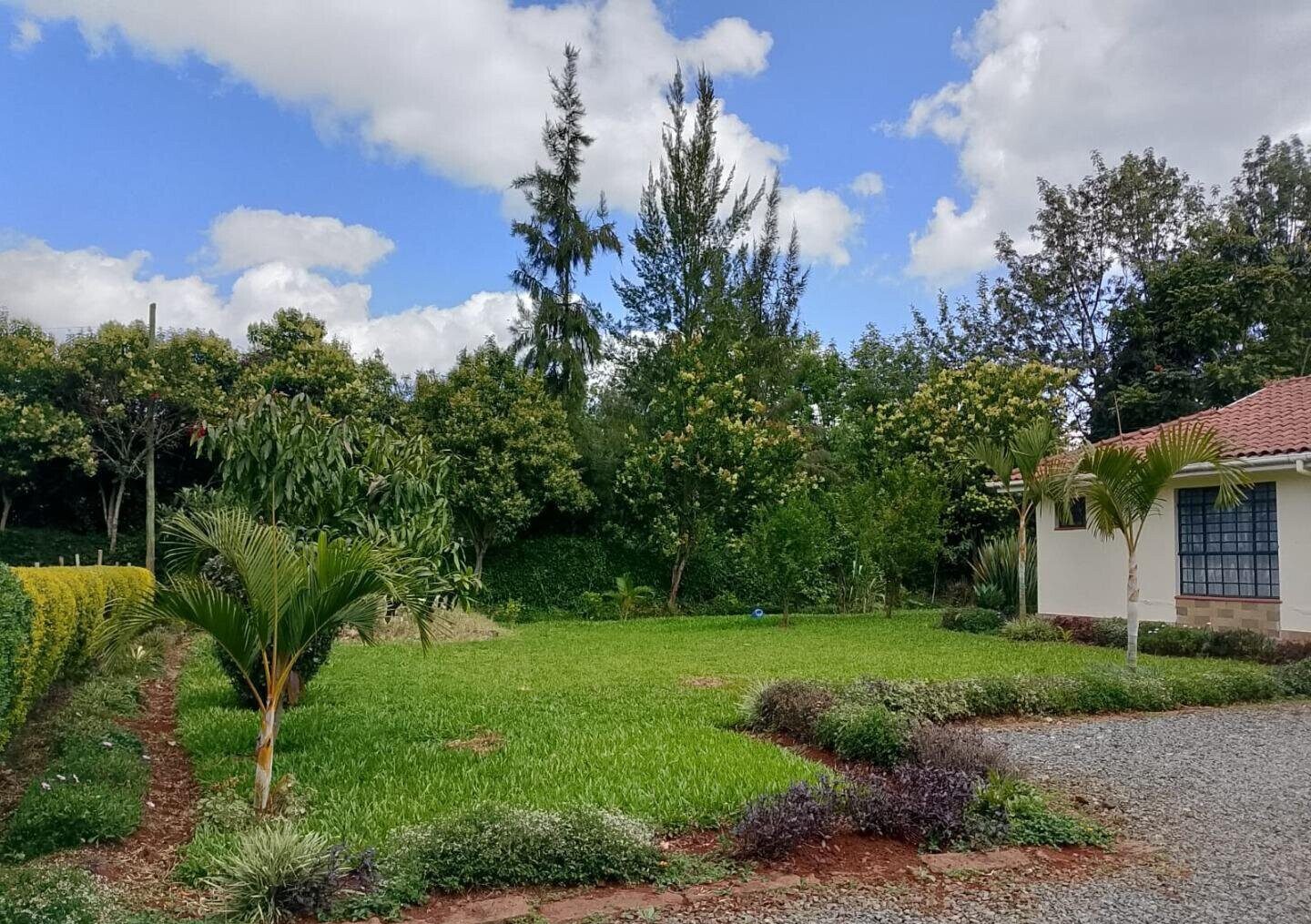 Garden Oasis at KSh 150K