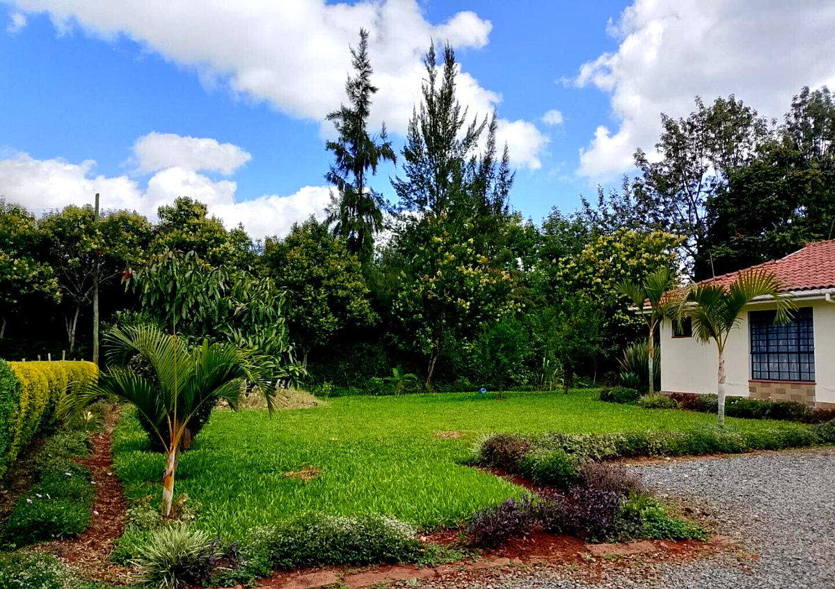 Garden Oasis at KSh 150K