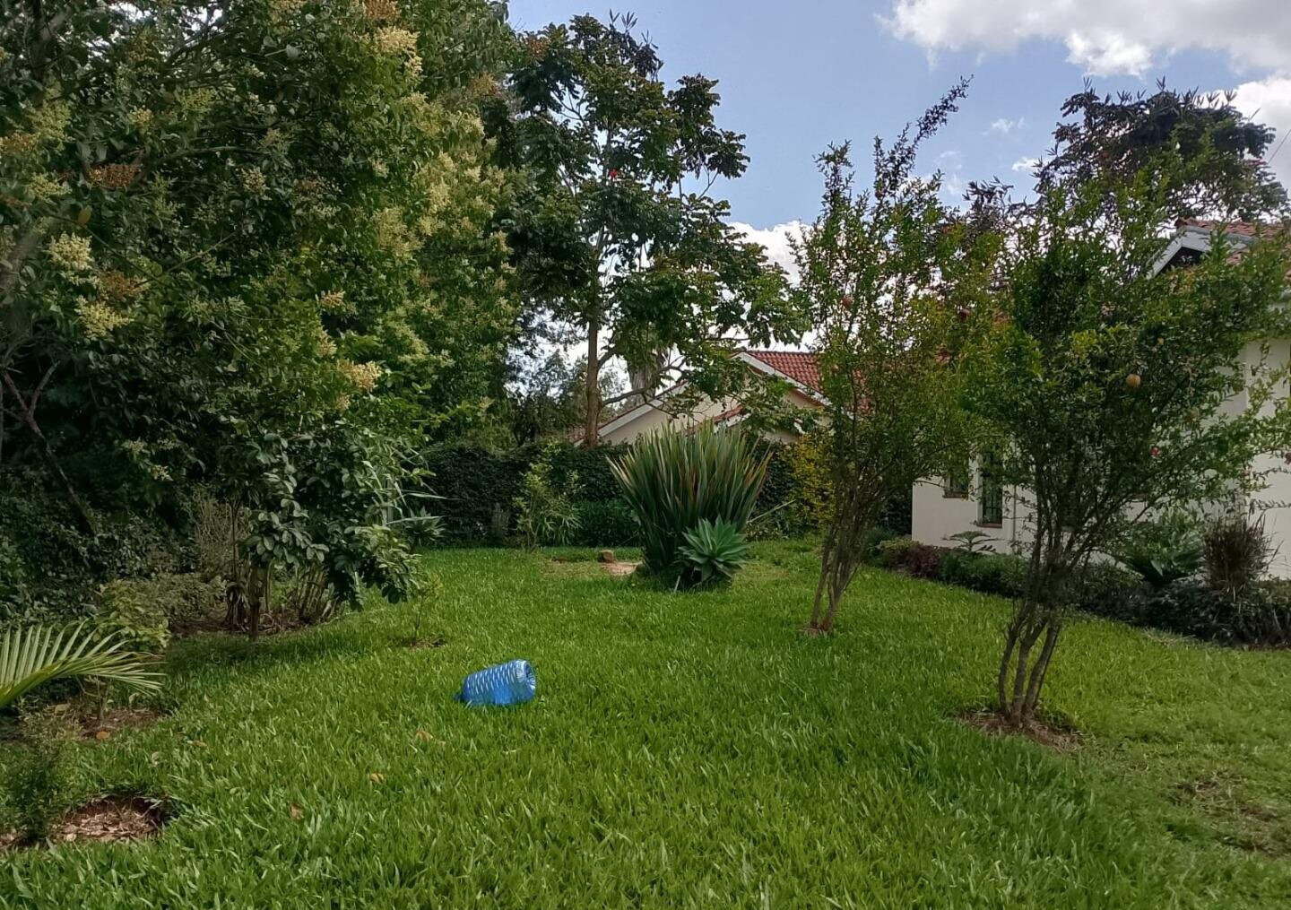 Garden Oasis at KSh 150K