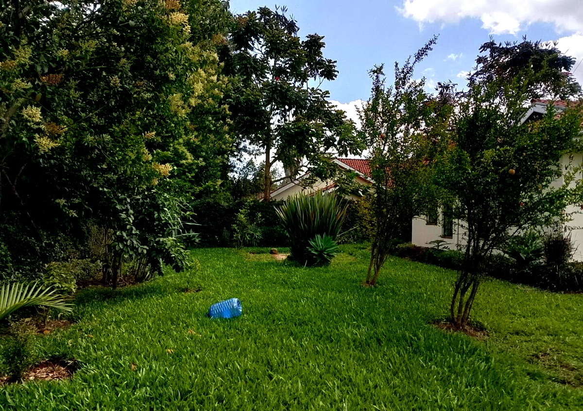 Garden Oasis at KSh 150K