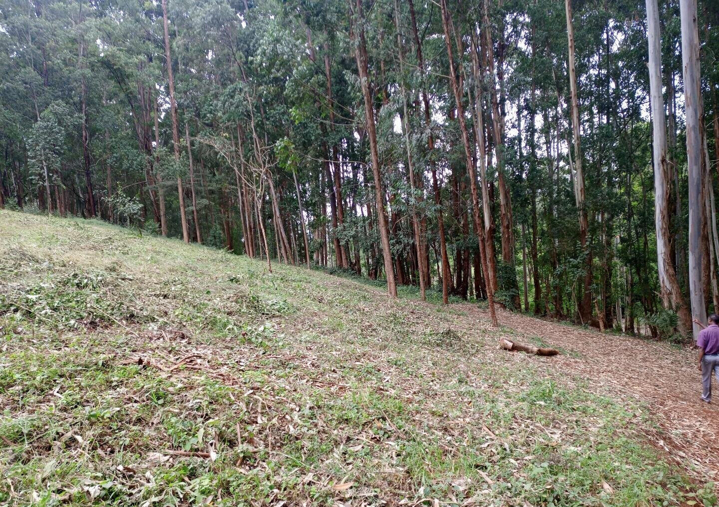 7.92-Acre Block in Ridgeways
