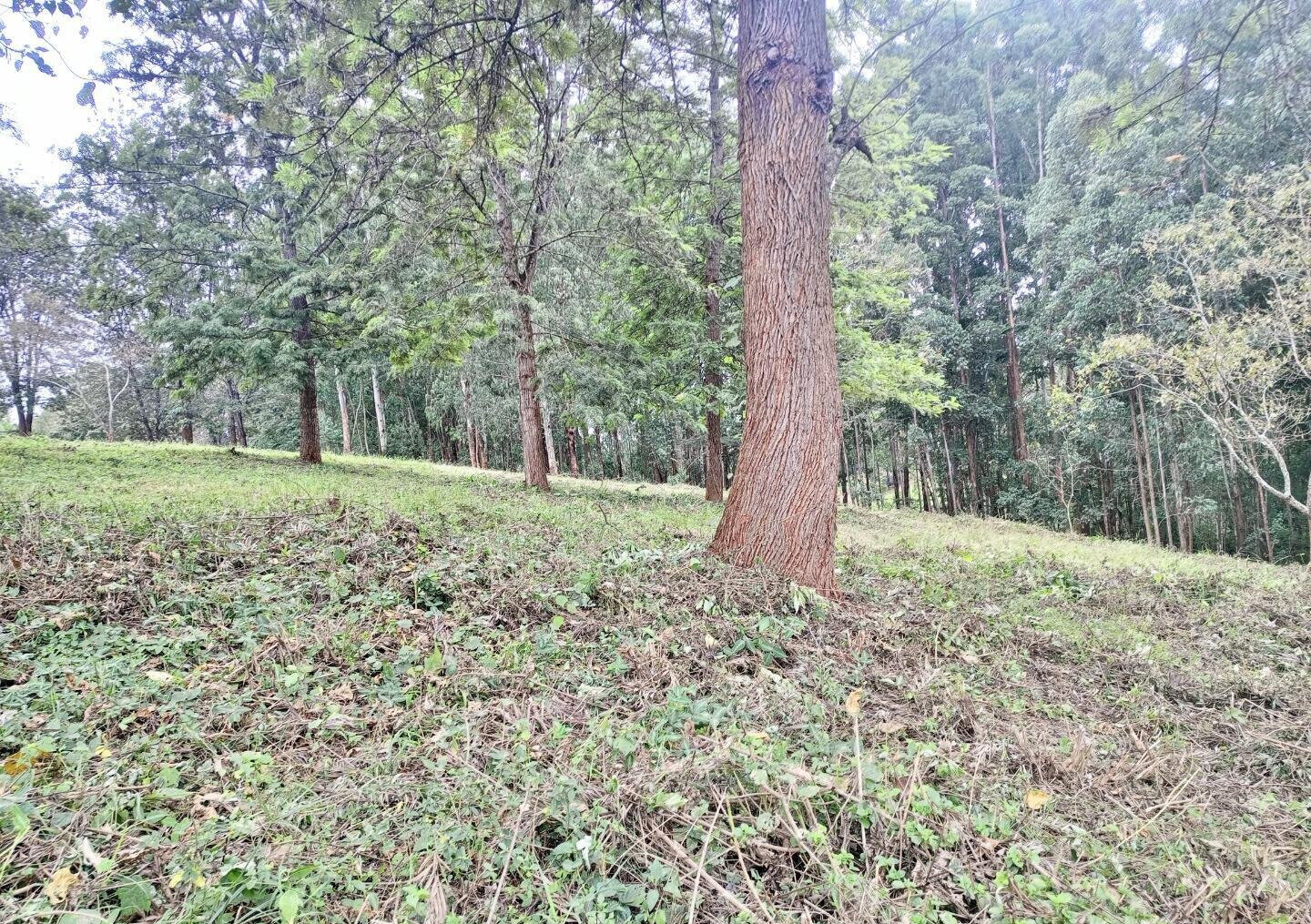 7.92-Acre Block in Ridgeways