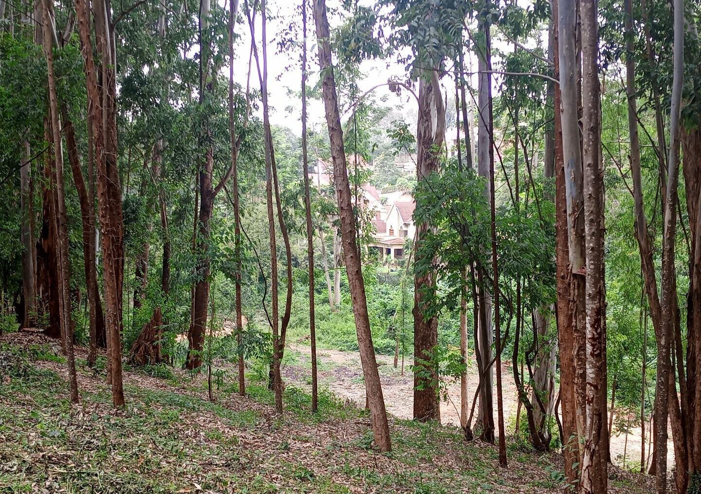 7.92-Acre Block in Ridgeways