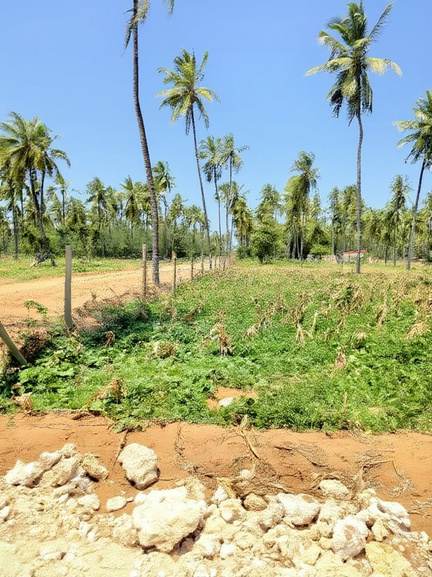Affordable Beach Plots for Sale in Kilifi Chumani.