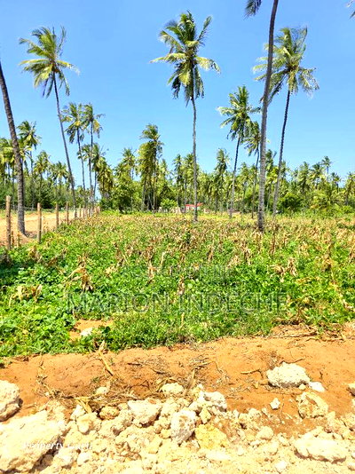 Affordable Beach Plots for Sale in Kilifi Chumani. - Image 6