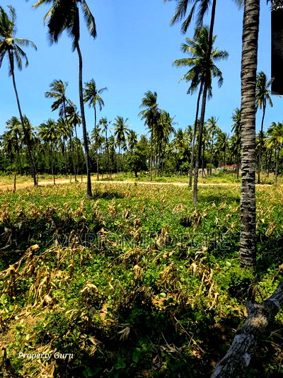 Affordable Beach Plots for Sale in Kilifi Chumani. - Image 8