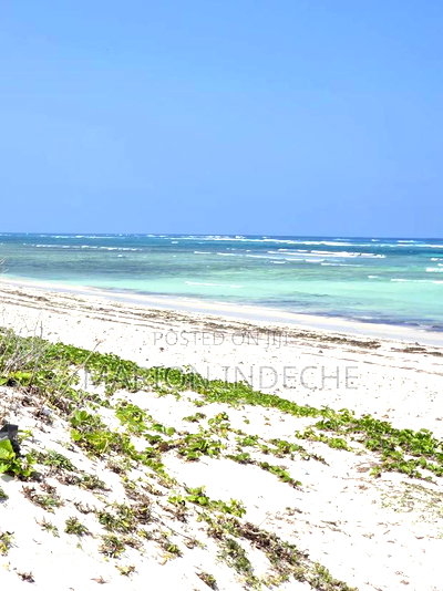Affordable Beach Plots for Sale in Kilifi Chumani. - Image 10