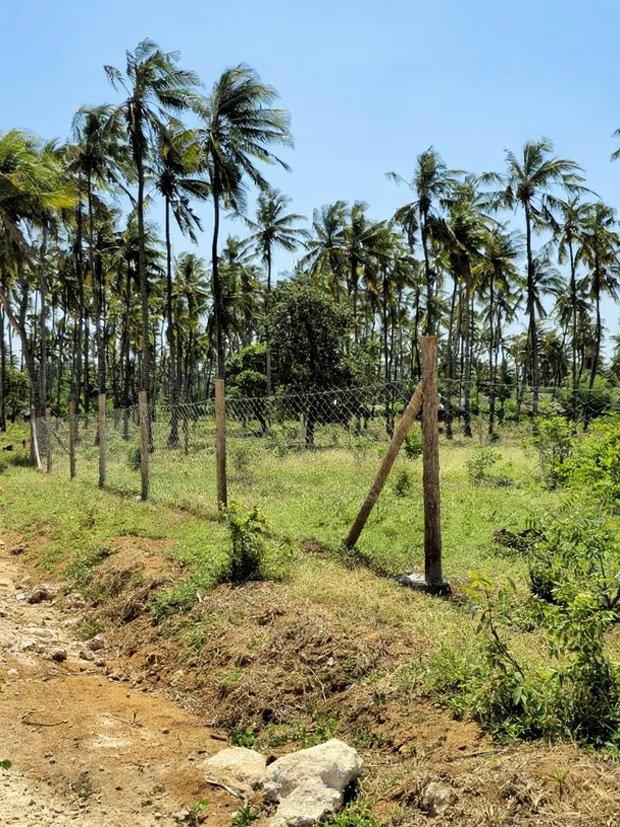 Affordable Beach Plots for Sale in Kilifi Chumani.