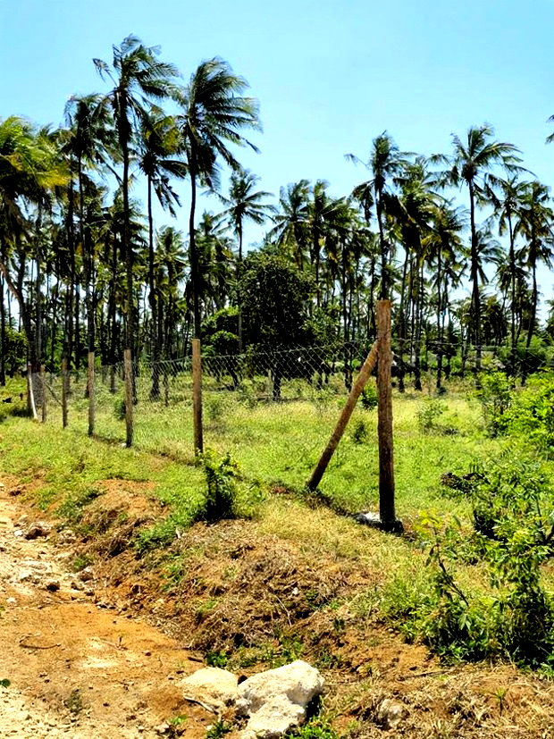 Affordable Beach Plots for Sale in Kilifi Chumani.